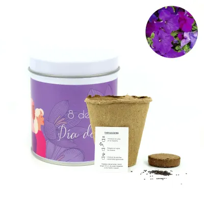 Cultivo de Petunias en Lata para el Día de la Mujer 8M blanca