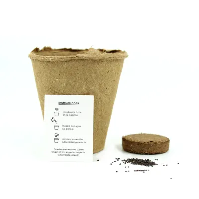 Cultivo de Petunias en Lata para el Día de la Mujer 8M contenido