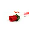 Rosas de Jabón Personalizadas para Sant Jordi cerca abierta