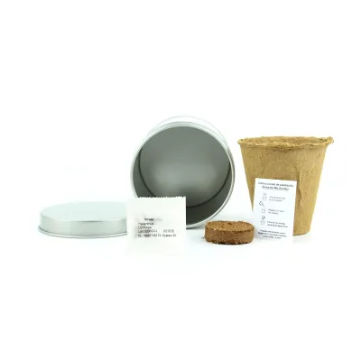 Cultivo de Margaritas en Lata Personalizada para Cumpleaños contenido Cultivo de Margaritas en Lata Personalizada para Cumpleaños contenido