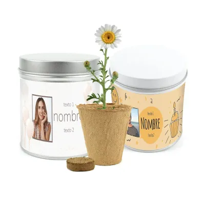 Cultivo de Margaritas en Lata Personalizada para Cumpleaños