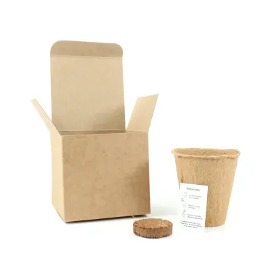 Trébol de la Suerte en Cajita Kraft Personalizada para Cumpleaños abierta Trébol de la Suerte en Cajita Kraft Personalizada para Cumpleaños abierta