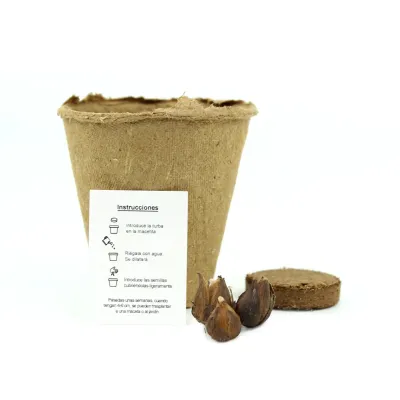 Trébol de la Suerte en Cajita Kraft Personalizada para Cumpleaños contenido Trébol de la Suerte en Cajita Kraft Personalizada para Cumpleaños contenido