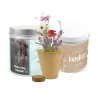 Cultivo de Mix de Flores en Lata Personalizada para Detalles de Comunión