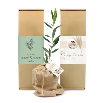 Mini Olivo en Caja Personalizada para Boda