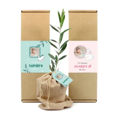 Mini Olivo en Caja Personalizada para Bautizo