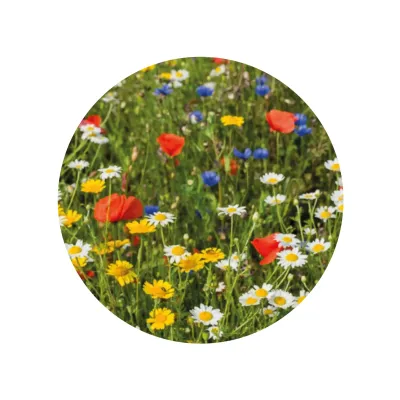 Kit de Cultivo Mix de Flores en Cajita Personalizada para Comunión flores