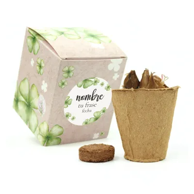 Kit de Cultivo Tréboles en Cajita Decorada y Personalizada para Comunión