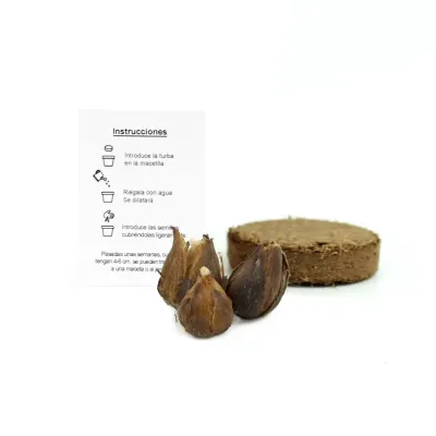 Trébol de la Suerte en Bolsita celofán para Detalles Escolares contenido