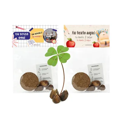 Trébol de la Suerte en Bolsita celofán para Detalles Escolares