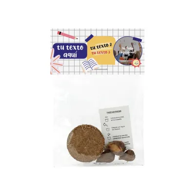 Trébol de la Suerte en Bolsita celofán para Detalles Escolares frontal