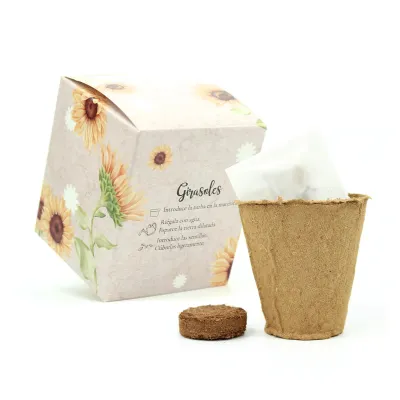 Kit de Cultivo Girasoles en Cajita Decorada y Personalizada para Comunión trasera