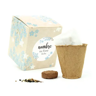 Kit de Cultivo No Me Olvides en Cajita Decorada y Personalizada para Comunión