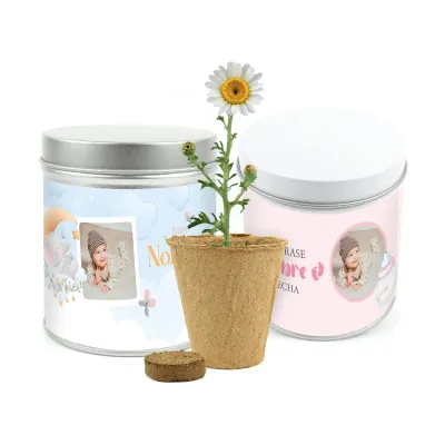 Cultivo de Margaritas en Lata Personalizada para Bautizo