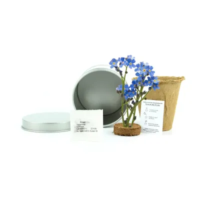 Cultivo de Flor No Me Olvides en Lata Personalizada para Bautizo contenido Cultivo de Flor No Me Olvides en Lata Personalizada para Bautizo contenido