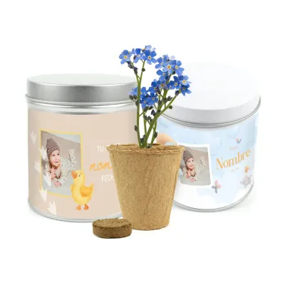 Cultivo de Flor No Me Olvides en Lata Personalizada para Bautizo
