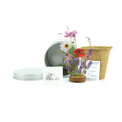 Cultivo de Mix de Flores en Lata Personalizada para Detalles de Bautizo contenido