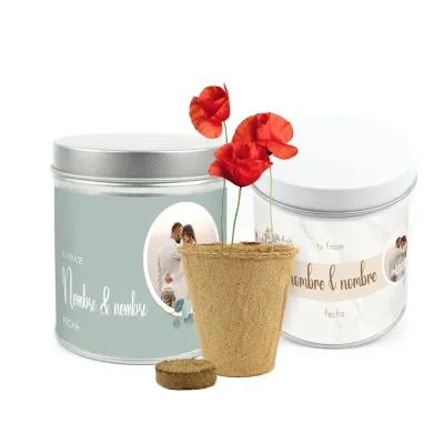 Cultivo de Amapolas en Lata Personalizada para Boda