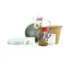 Cultivo de Mix de Flores en Lata Personalizada Baby Shower contenido