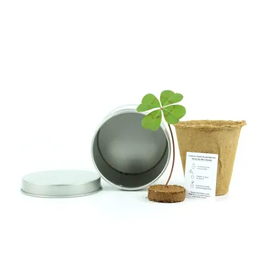 Trébol de la Suerte en Lata Personalizada para Baby Shower contenido