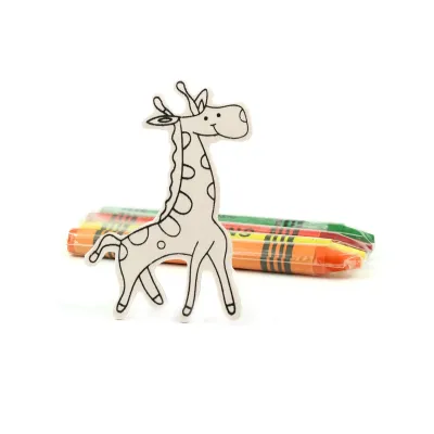 Set de 4 Imanes de Animalitos para Colorear para Eventos Escolares contenido