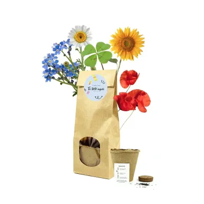 Set de Cultivo en Bolsita Kraft Personalizada para Eventos Escolares