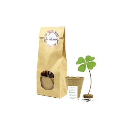 Set de Cultivo en Bolsita Kraft Personalizada para Eventos Escolares natural trébol