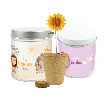 Cultivo de Girasol en Lata Personalizada para Bautizo