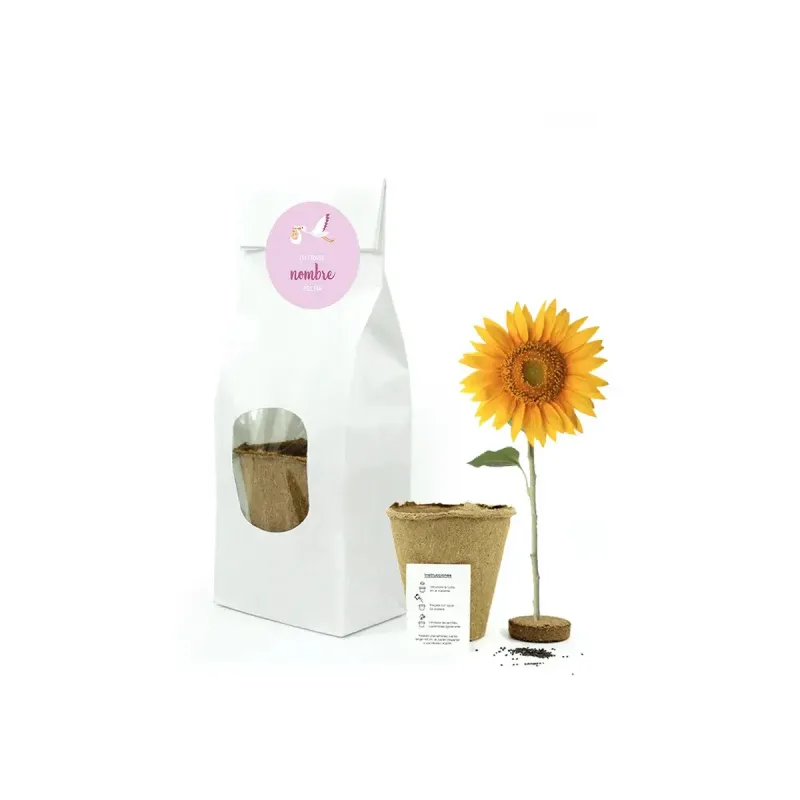 Cultiva Un Girasol Gigante De 4 Metros - Set Ecológico Con Maceta Compostable Y 10 Semillas - Regalo Original Para Jardineros