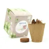 Kit de Cultivo Tréboles en Cajita Decorada y Personalizada para Cumpleaños
