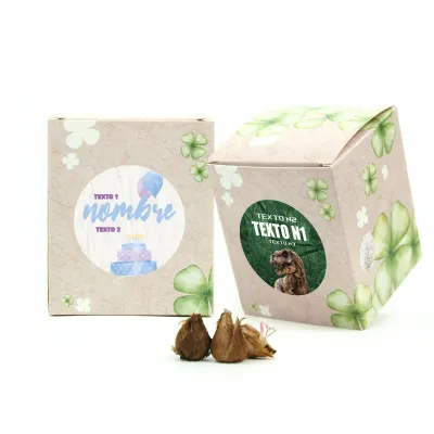 Kit de Cultivo Tréboles en Cajita Decorada y Personalizada para Cumpleaños frontal
