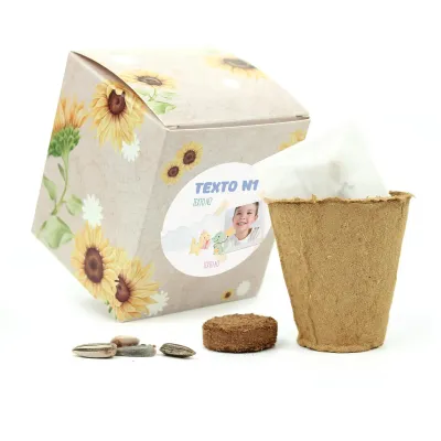 Kit de Cultivo Girasoles en Cajita Decorada y Personalizada para Cumpleaños