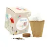 Kit de Cultivo Mix de Flores en Cajita Decorada y Personalizada para Cumpleaños