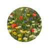Kit de Cultivo Mix de Flores en Cajita Decorada y Personalizada para Cumpleaños flor