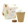 Kit de Cultivo Girasoles en Cajita Decorada y Personalizada para Bautizo trasera