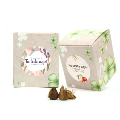 Kit de Cultivo Tréboles en Cajita Decorada y Personalizada para Eventos Escolares frontal
