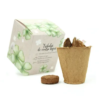 Kit de Cultivo Tréboles en Cajita Decorada y Personalizada para Eventos Escolares trasera