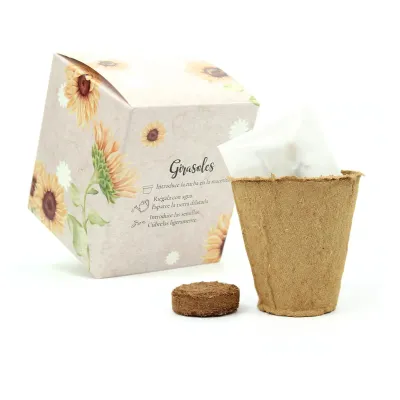 Kit de Cultivo Girasoles en Cajita Decorada y Personalizada para Eventos Escolares trasera