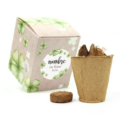 Kit de Cultivo Tréboles en Cajita Decorada y Personalizada para Baby Shower