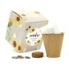 Kit de Cultivo Girasoles en Cajita Decorada y Personalizada para Bautizo