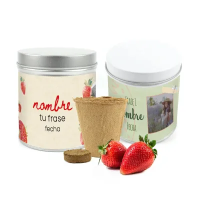 Cultivo de Fresas en Lata Personalizada para Detalle de Comunión