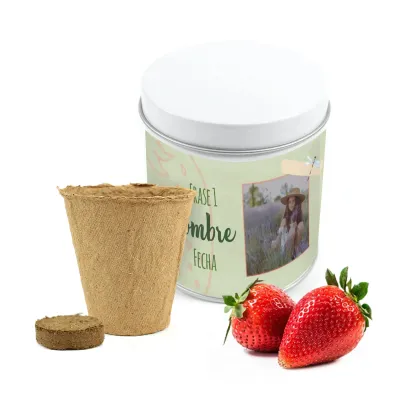 Cultivo de Fresas en Lata Personalizada para Detalle de Comunión blanca