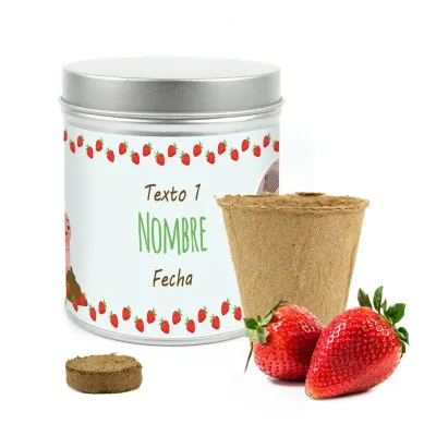 Cultivo de Fresas en Lata Personalizada para Detalle de Bautizo