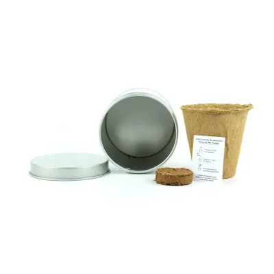 Cultivo de Fresas en Lata Personalizada para Detalle de Boda contenido