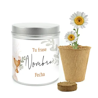 Cultivo de Margaritas en Lata Personalizada para Comunión